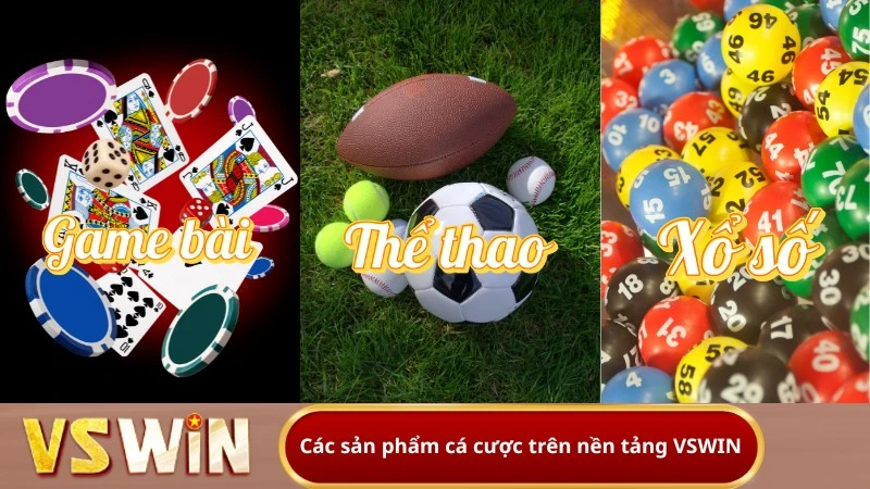 Các sản phẩm cá cược trên nền tảng VSWIN